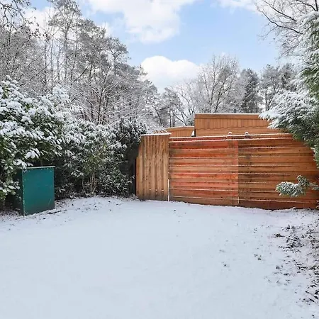 Boshuisje In Het