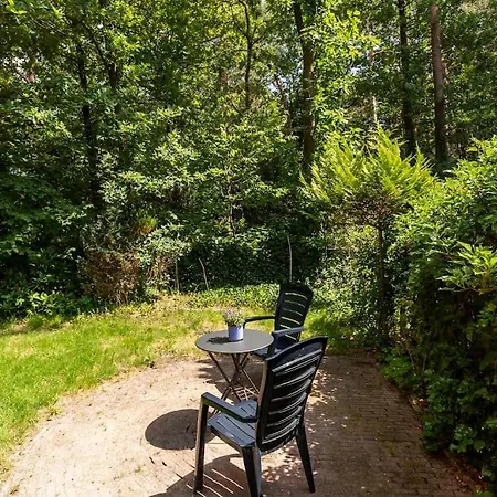 Boshuisje In Het Holiday home Beekbergen